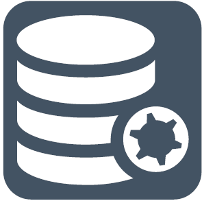 295x293 Consumer Data Icon