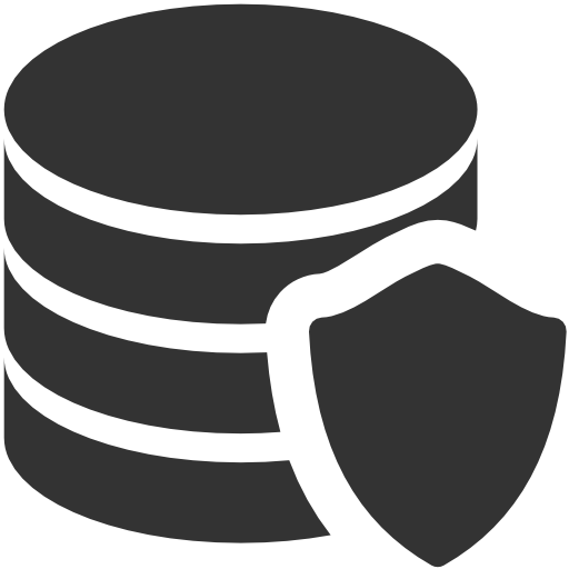 512x512 Data, Protection Icon