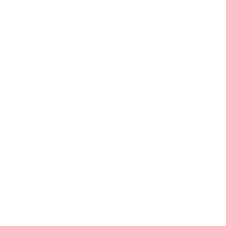 250x250 Ddos Protection