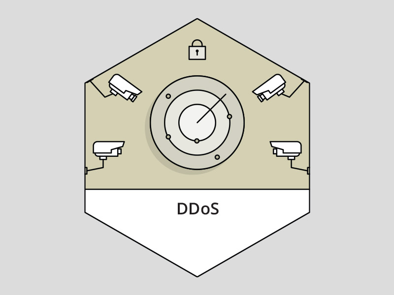 800x600 Ddos Icon