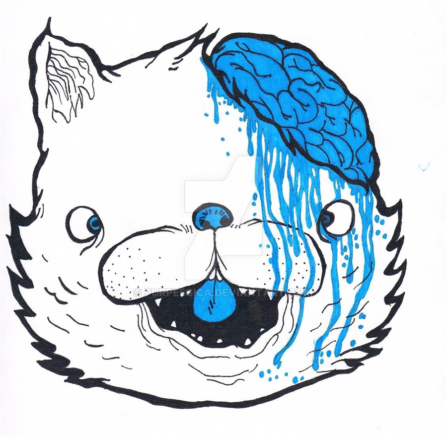 900x878 Drop Dead Icon