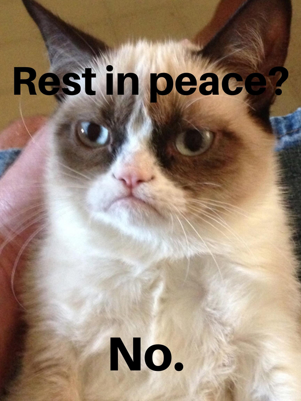 610x813 Death Of An Icon