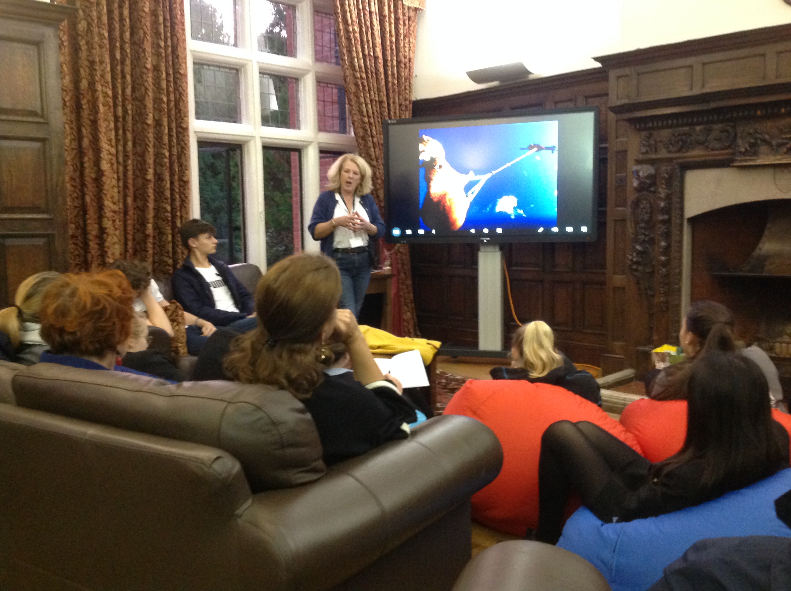 2592x1936 Party Girls And Rhino Horns Death Of An Icon'