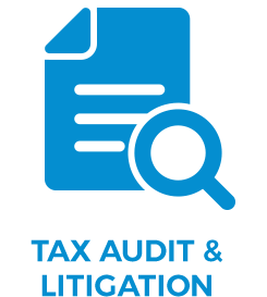 245x273 Tax Audit Icon