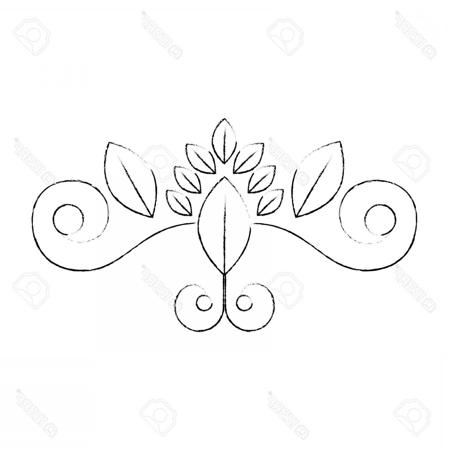 1560x1560 Photostock Vector Vintage Swirl Decoration Icon Vector