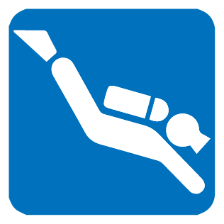 316x316 Scuba Icon The Dive Shop On Mcever