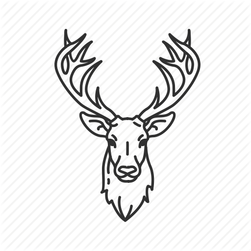 512x512 Buck, Cervidae, Deer, Deer Head, Male Deer, Mounted Buck, Mounted