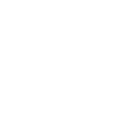 256x256 Ics Village Events