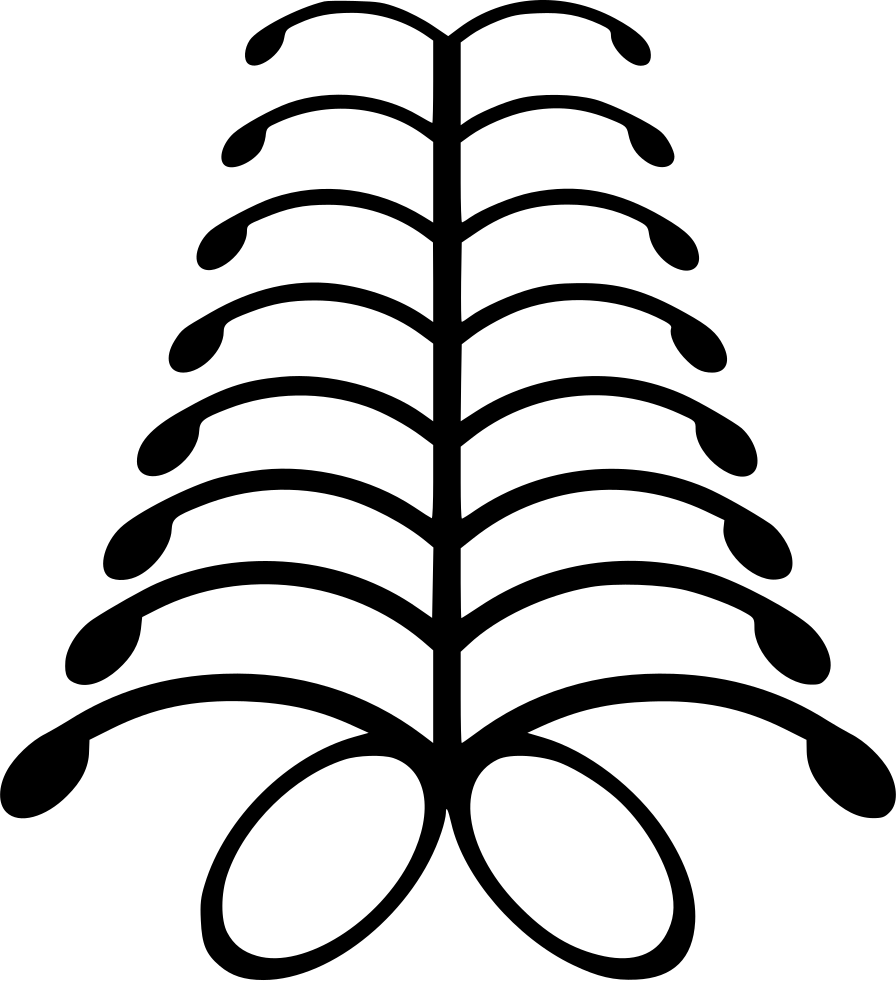 Aya Defiance Fern Png Icon Free Download 896x981 Aya Defiance Fern Png Icon Free Download