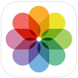 250x250 How To Delete All Photos From Your Iphone