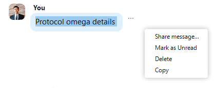 423x173 Managing Chat Messages Zoom Help Center