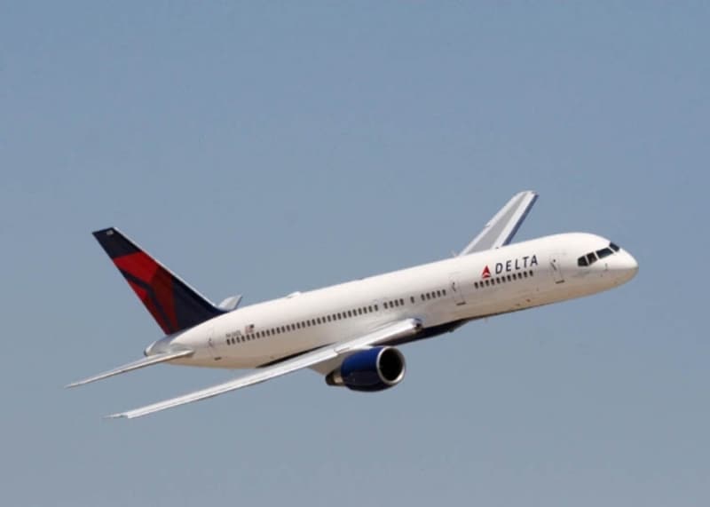 Delta Airlines Icon