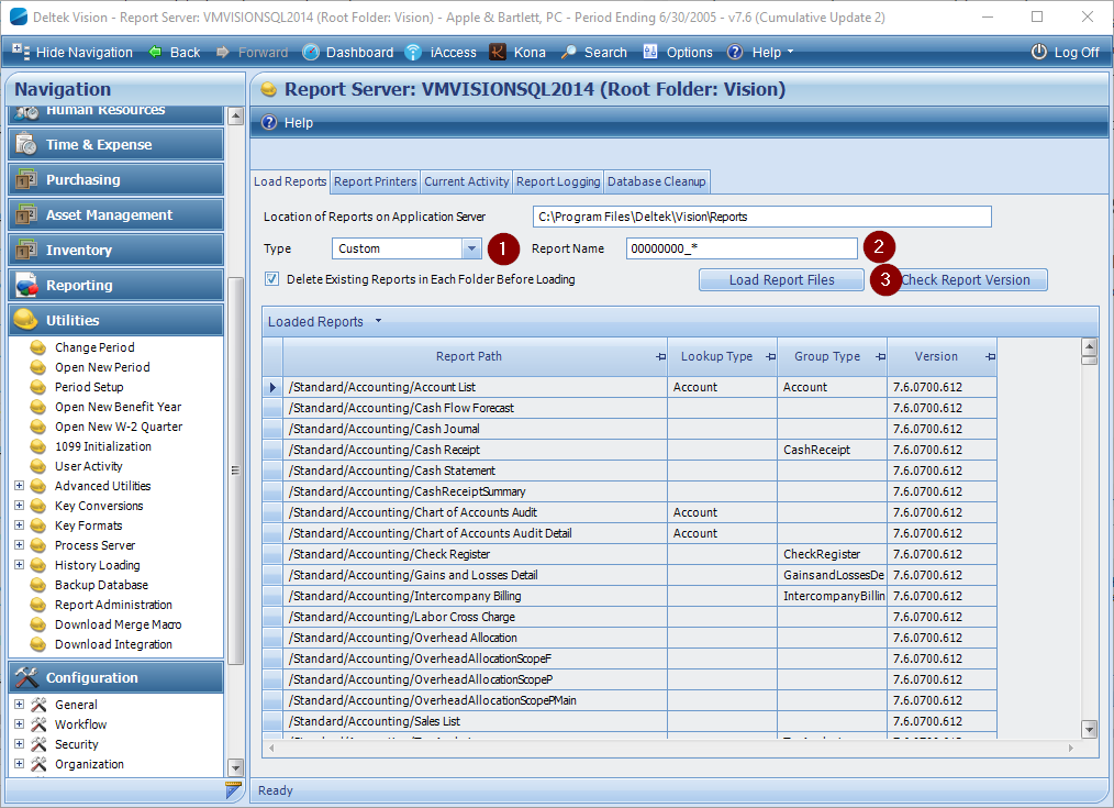 1014x735 Deltek Vision Custom Reporting