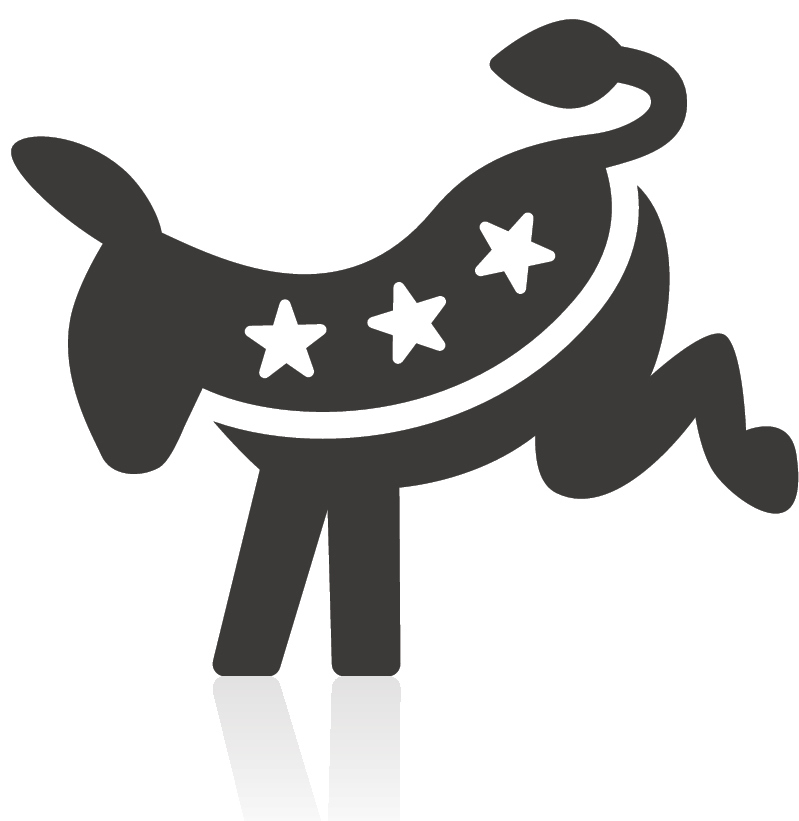 799x821 Democratic Party Teach The Vote