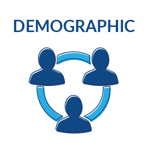 289x289 Demographics Icons Demographic