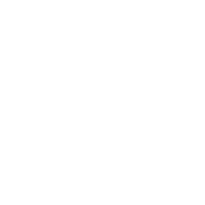 300x300 Denver Icon