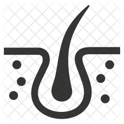 256x256 Dermatology Icon Of Glyph Style