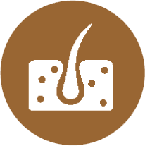 206x207 Dermatology Icon