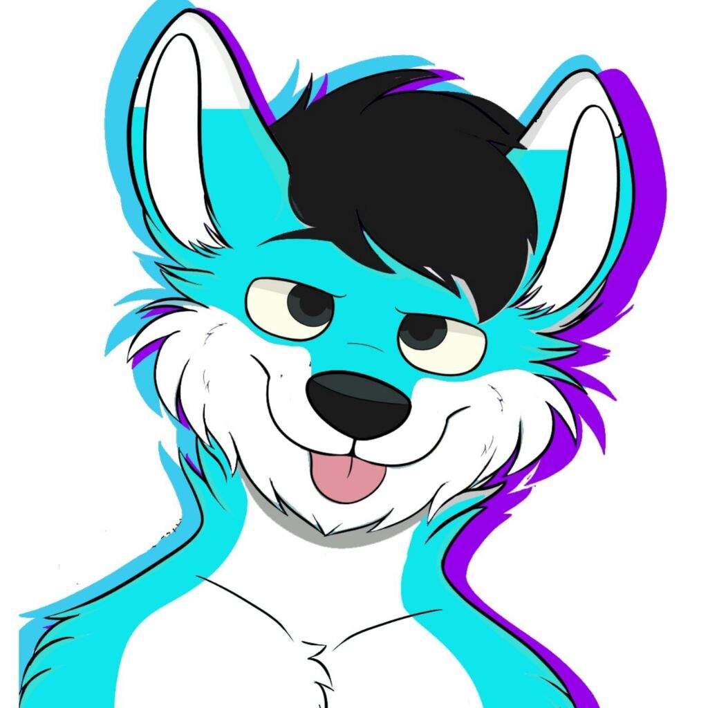 Derp Icon Furry Amino 1024x1024 Derp Icon Furry Amino