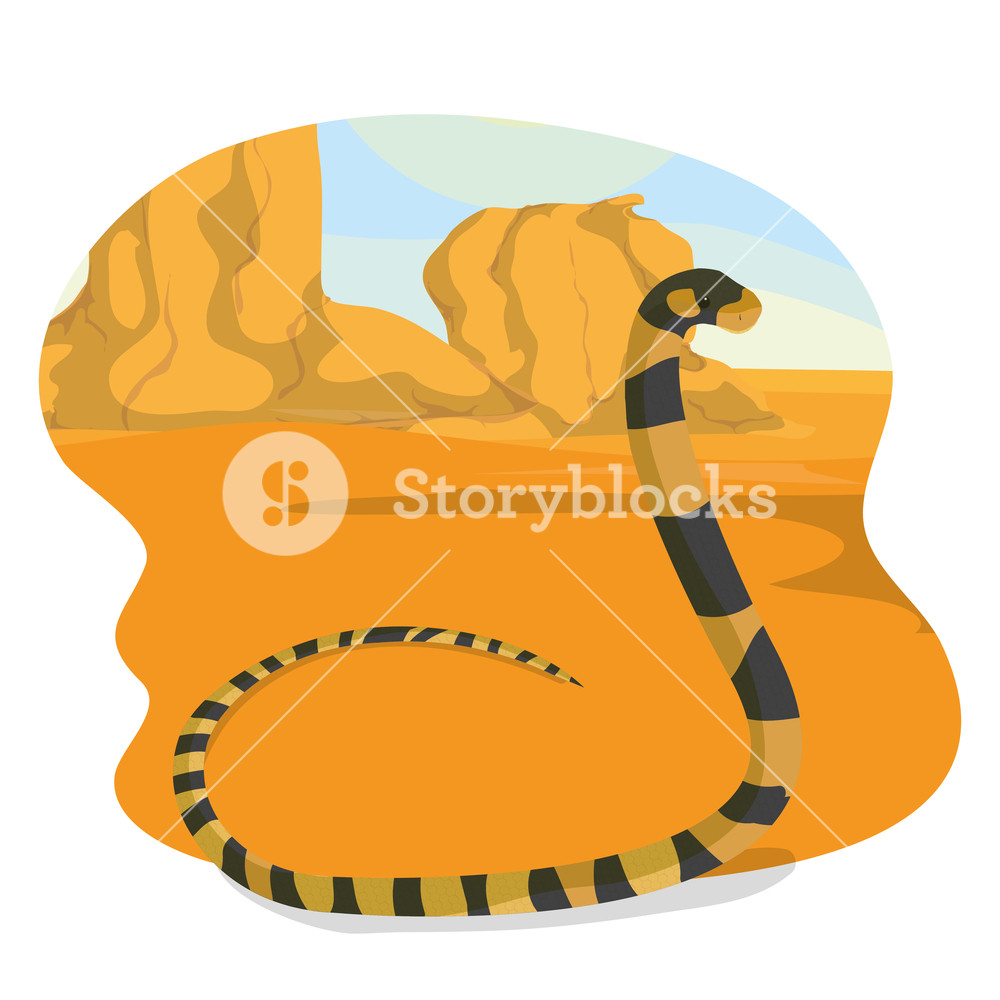 1000x1000 Snake In The Desert Icon Vector Illustration Graphic Design