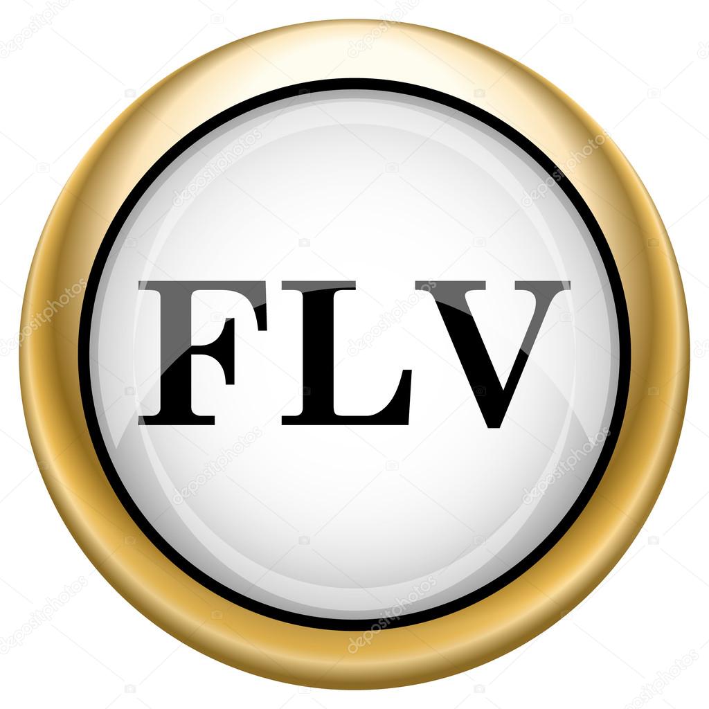1024x1024 Flv Icon