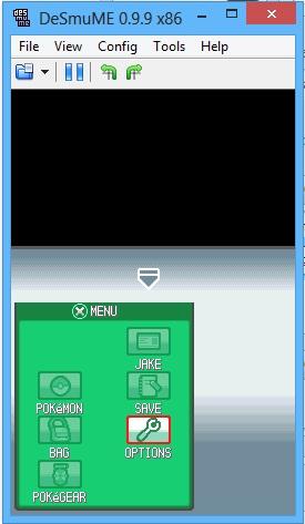 275x473 Desmume Bugs