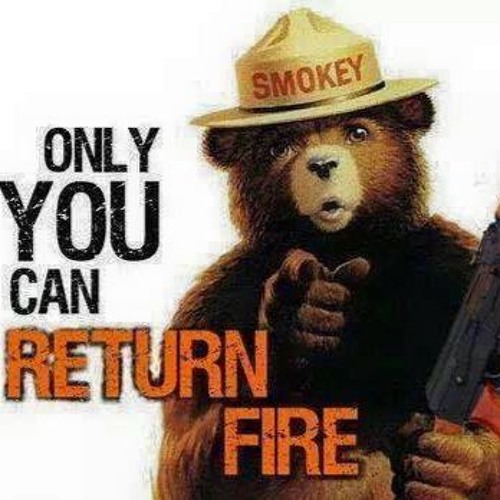 500x500 Despised Icon