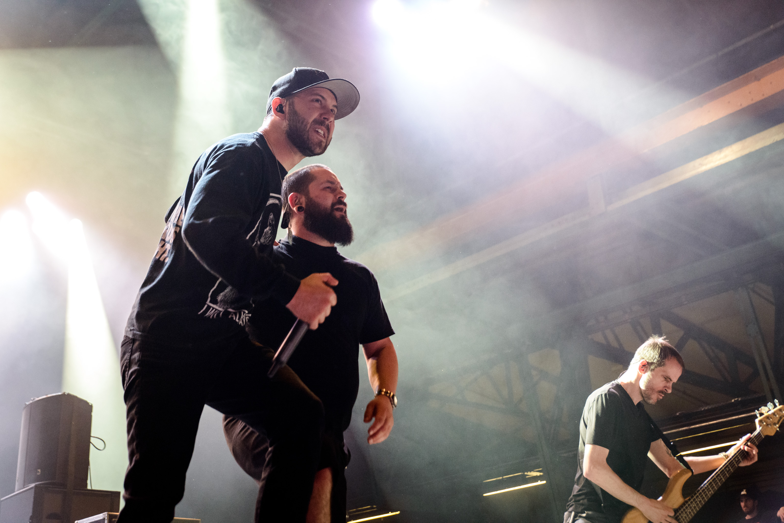 3074x2052 Despised Icon