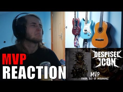 480x360 Despised Icon