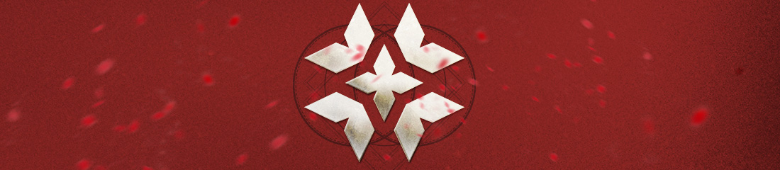 1100x240 Help Destiny Known Issues And Vital Information