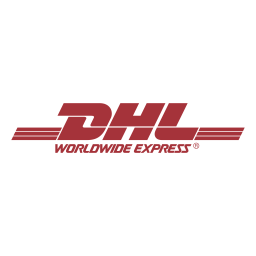 256x256 Dhl Logo Icon Of Flat Style