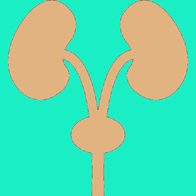 626x626 Dialysis