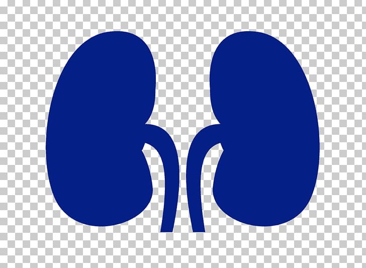 728x533 Kidney Transplantation Organ Dialysis Computer Icons Png, Clipart