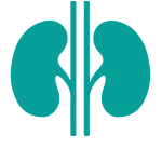 150x150 Making The Most Of Your Time During Dialysis Fresenius Kidney Care
