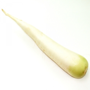 300x300 Buy Dicon Lobok Online, Fresh Lobok Brisbane