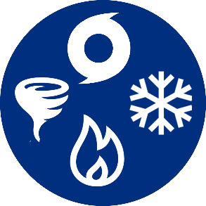 293x293 Natural Disasters Homeland Security