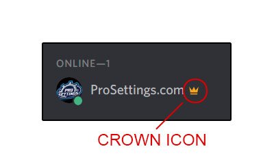 400x240 How To Remove The Crown Owner Icon Next To Your Name In Discord
