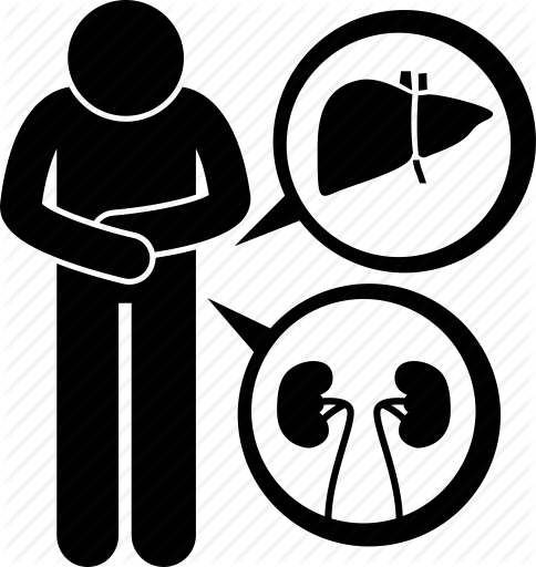 484x512 Damaged, Disease, Kidney, Liver, Medical, Problem Icon