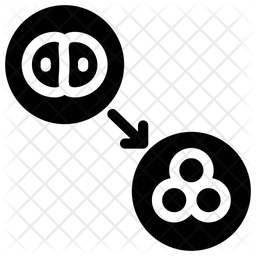 256x256 Cell Division Icon Of Glyph Style