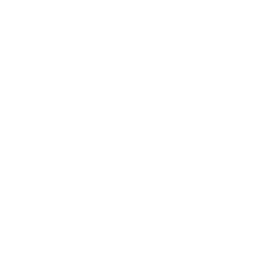 256x256 Free White Dj Icon