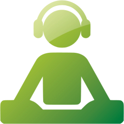 256x256 Web Green Dj Icon