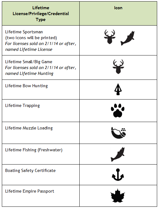 517x675 New York Dmv Nys Adventure License And Adventure Custom Plates