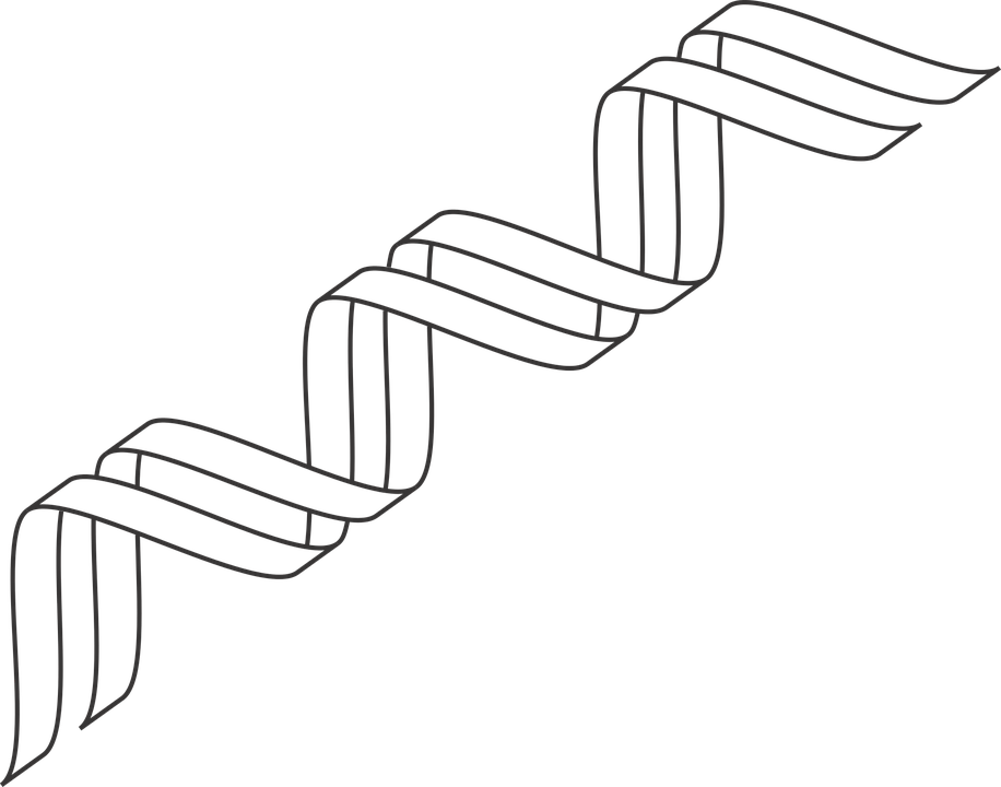916x720 Gene Outline, Dna, Icon, Dna Icon, Double Helix