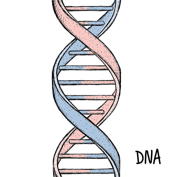 600x599 Gold Dna Dna Symbol Dna Helix Symbol Gene Icon Art Print