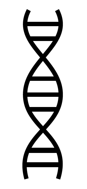 300x650 Free Health Icon Dna Molecule Digital Splash Media