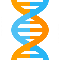 256x256 Iconexperience G Collection Dna Icon