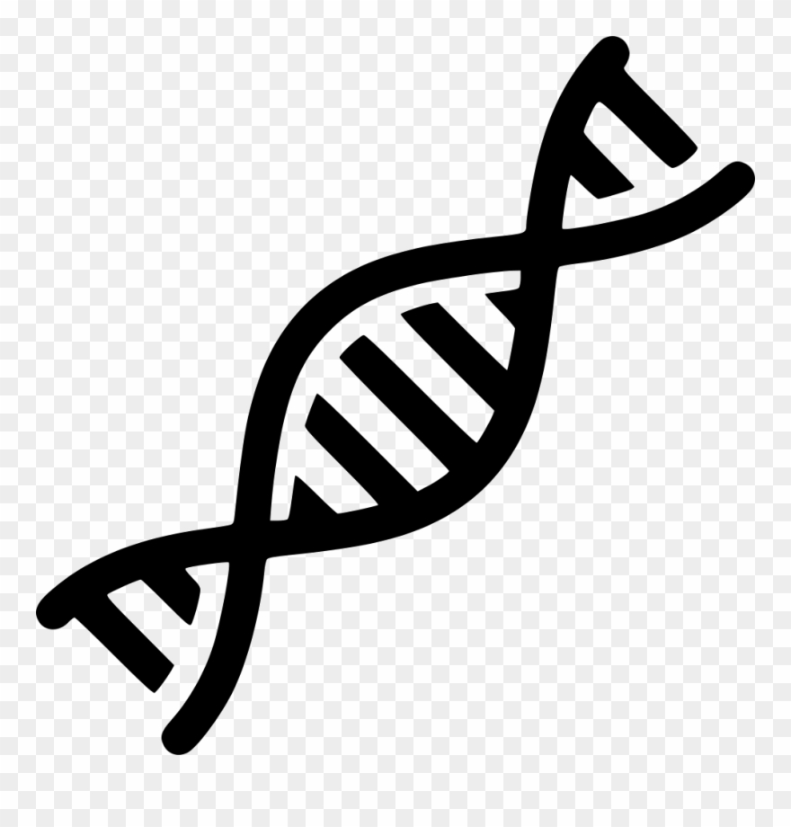880x920 Png Dna Vector Freeuse