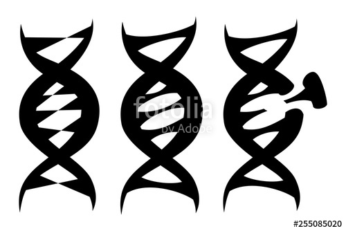 500x334 The Dna Icon Dna Symbol Flat Vector Illustration Dna Icons