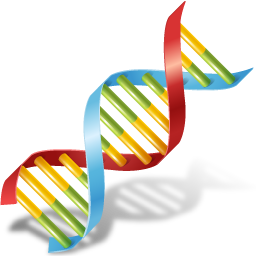 256x256 Dna Icon Download Vista Medical Icons Iconspedia