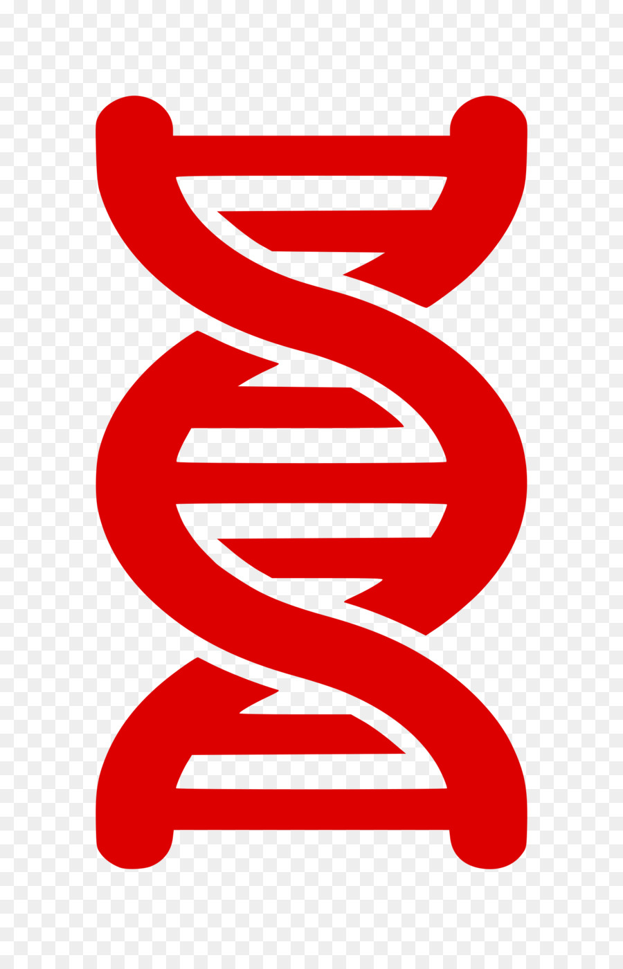 900x1400 Dna Clipart Red For Free Download And Use Images In Presentations